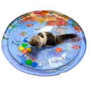 Tapete Inflável de Água Resfriada para Diversão e Conforto de Cães e Gatos