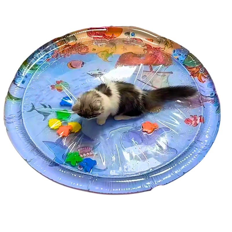 Tapete Inflável de Água Resfriada para Diversão e Conforto de Cães e Gatos