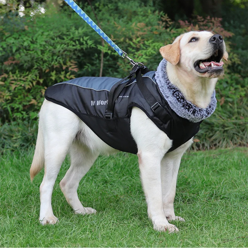 Jaqueta Impermeável com Gola: Proteção e Conforto em Cada Aventura