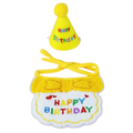 Conjunto de Chapéu e Babador para Aniversário de Cães e Gatos