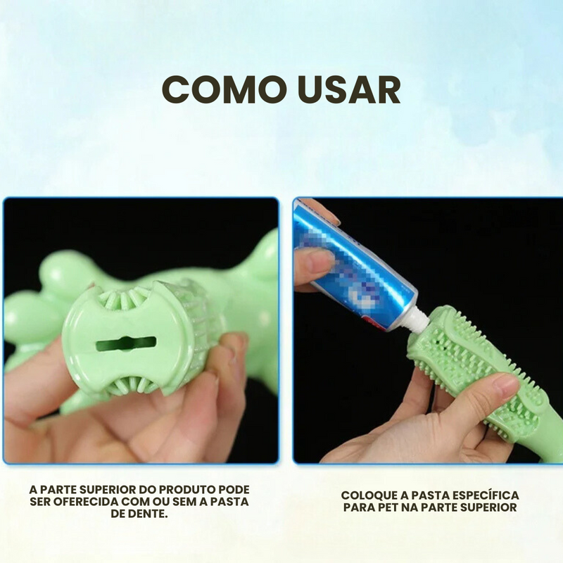 Mordedor de Escova de Dente para Pets - Conforto e Cuidado na Hora de Brincar