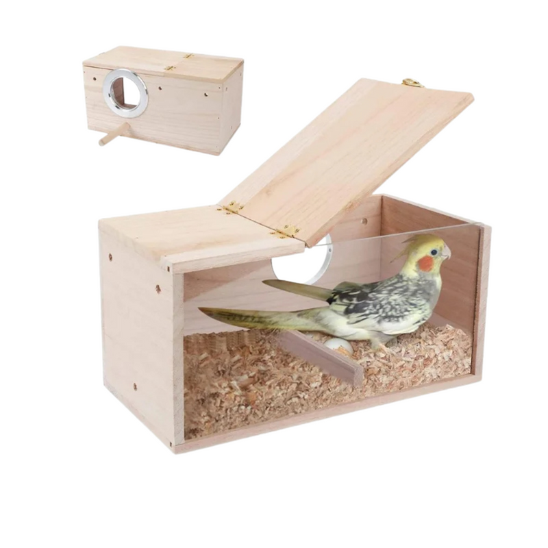 Ninho de Madeira com Visor de Acrílico para Periquitos e Aves - Conforto e Segurança para Seus Pássaros
