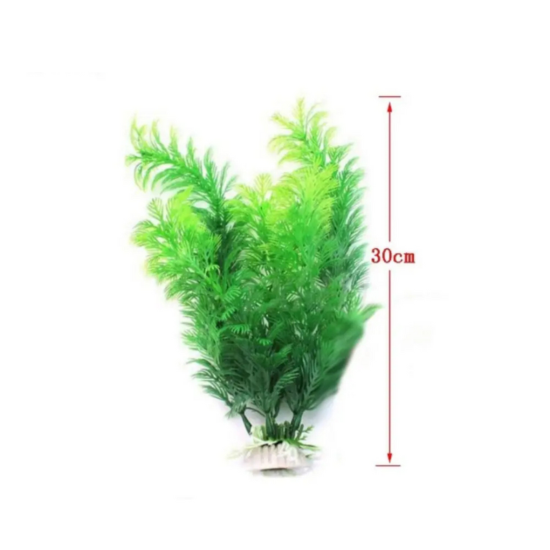 Planta Ornamental para Transformar Seu Aquário em um Refúgio Aconchegante
