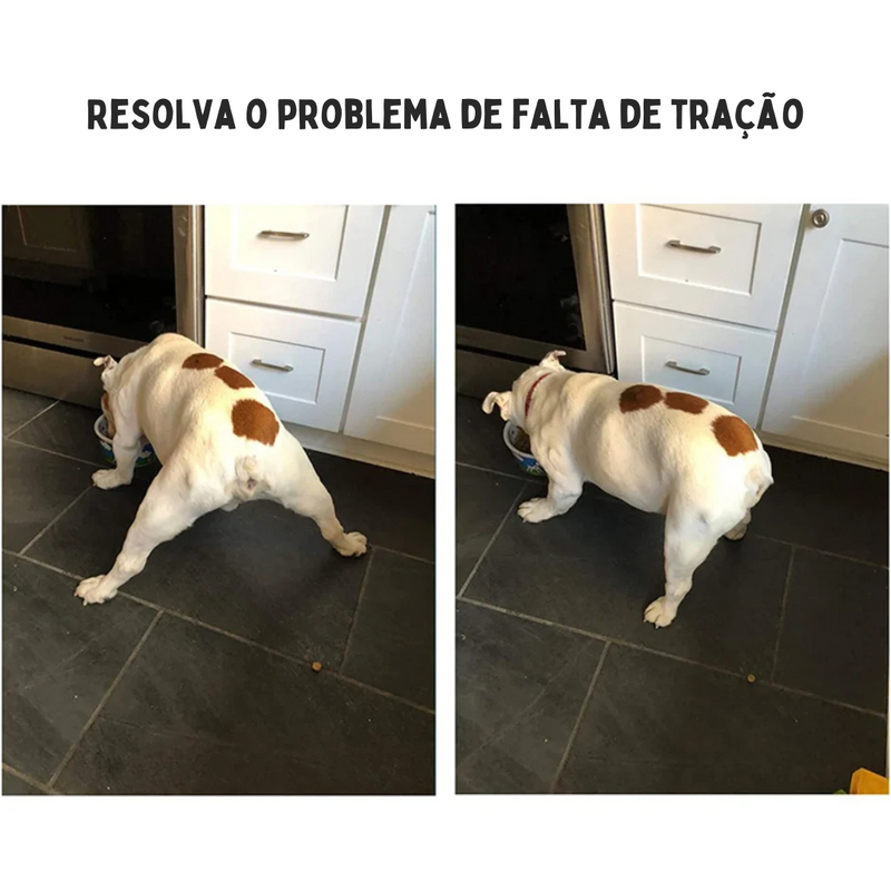 Palmilhas Adesivas Antiderrapantes para Conforto e Proteção das Patinhas