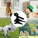 Joelheira Ortopédica para Cachorros: Conforto e Mobilidade para Pets com Dificuldade de Andar