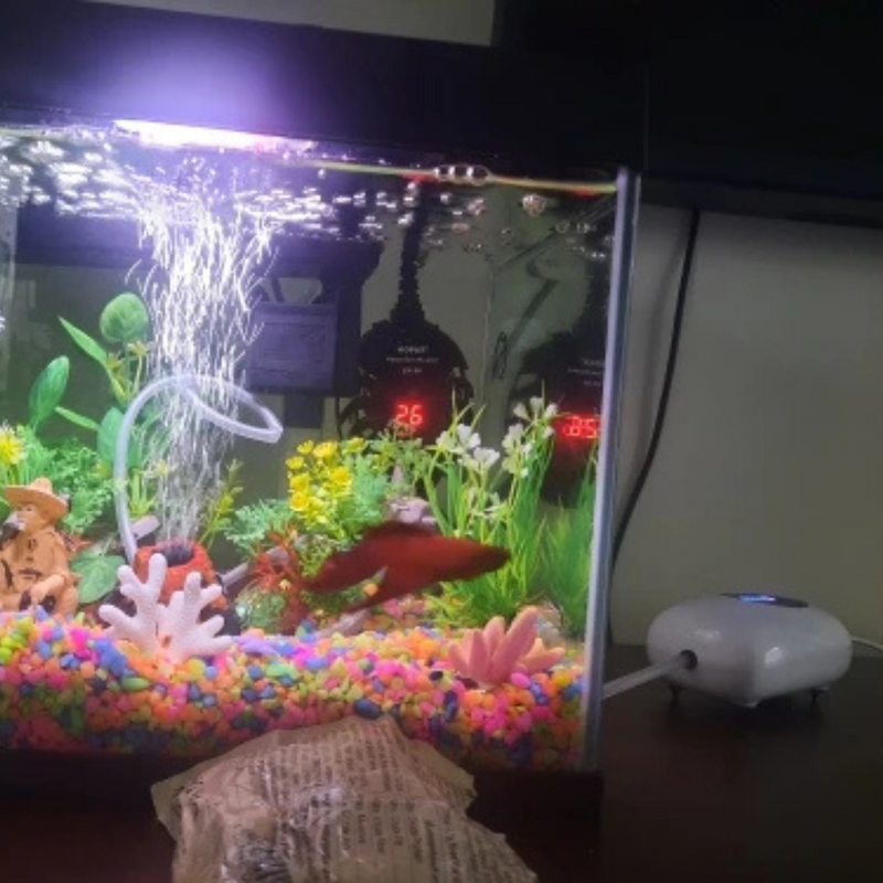Bomba de Ar para Aquário: Oxigênio Essencial para o Bem-Estar dos Seus Peixes