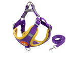 Conjunto Comfort Peitoral e Guia para Cachorros – Conforto e Segurança nas Caminhadas