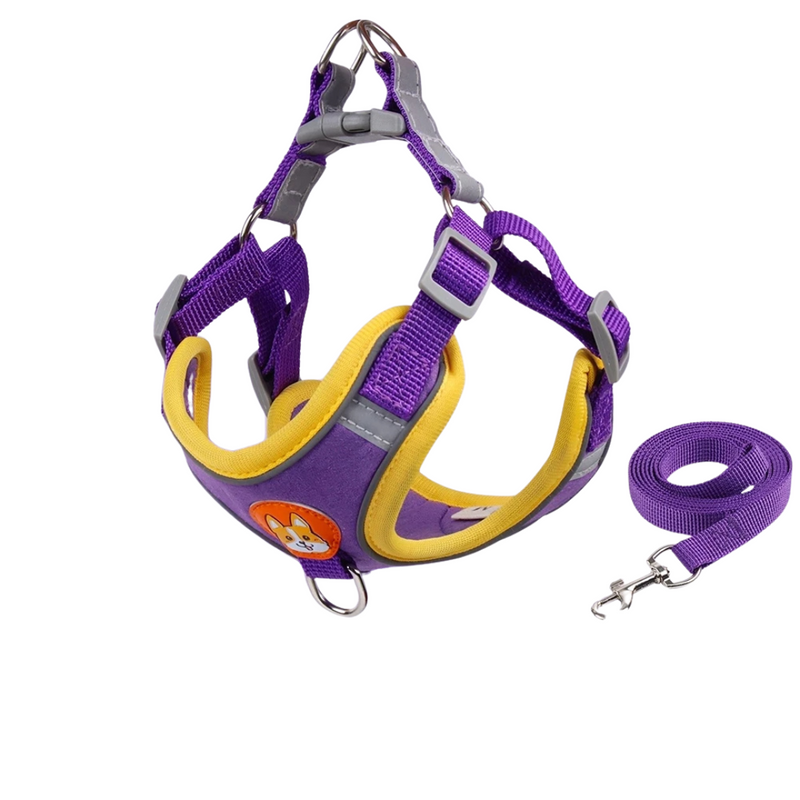 Conjunto Comfort Peitoral e Guia para Cachorros – Conforto e Segurança nas Caminhadas