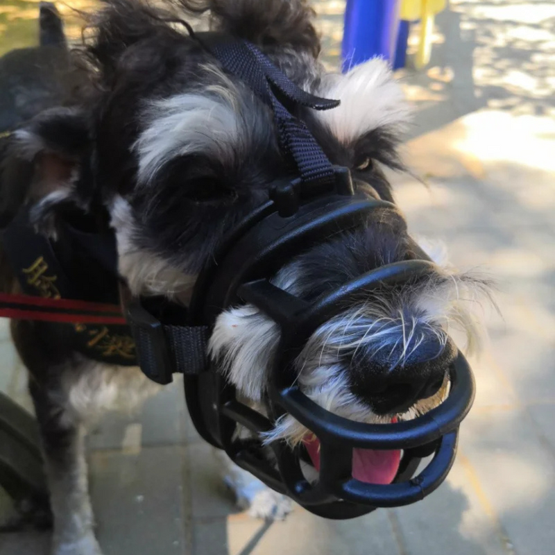 Focinheira Ajustável Para Cães Grandes - Conforto e Segurança Para Rottweilers