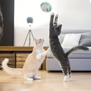 Brinquedo Interativo em Mola para Gatos - Diversão e Estímulo para Seu Felino