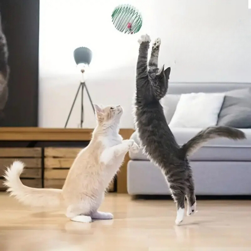 Brinquedo Interativo em Mola para Gatos - Diversão e Estímulo para Seu Felino