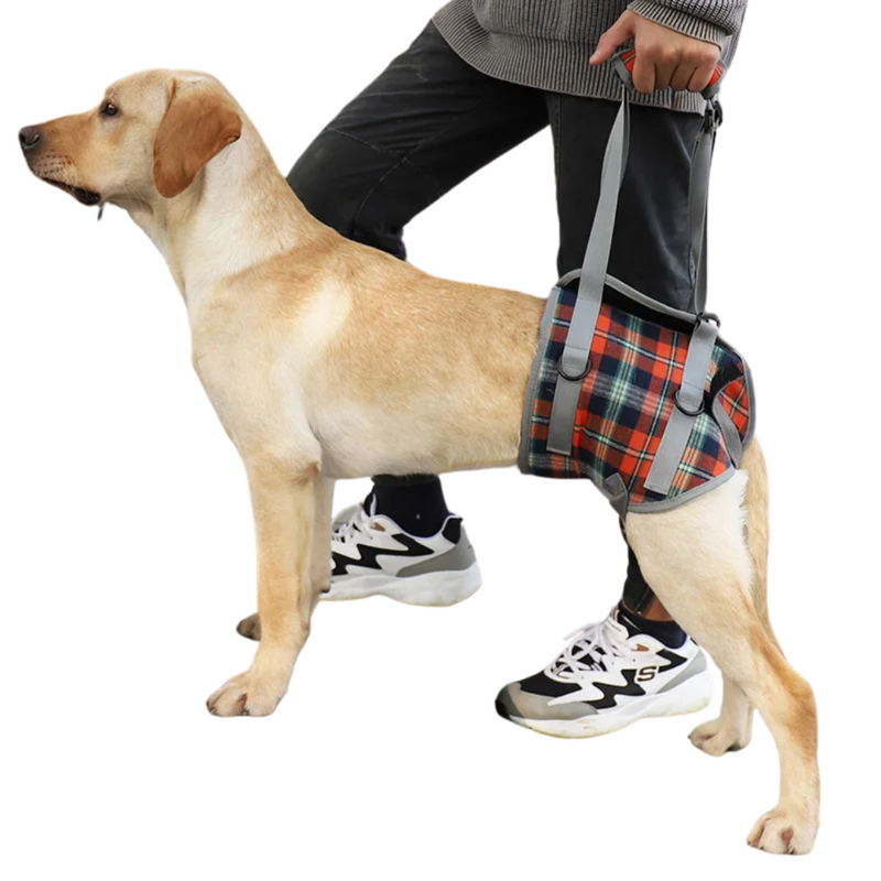 Sling Ajustável para Conforto de Cachorros Idosos com Dificuldades de Mobilidade