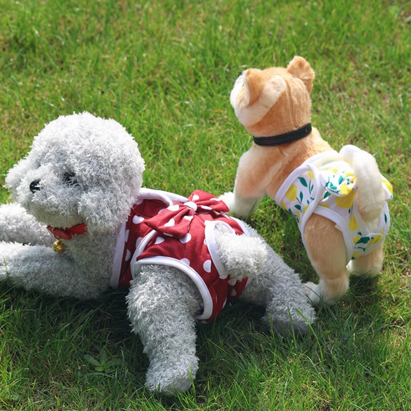 Calcinha Absorvente Lavável para Pets: Conforto e Praticidade no Dia a Dia