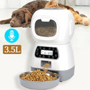 Alimentador Inteligente Automático para Cães e Gatos: Praticidade e Conforto na Alimentação Diária