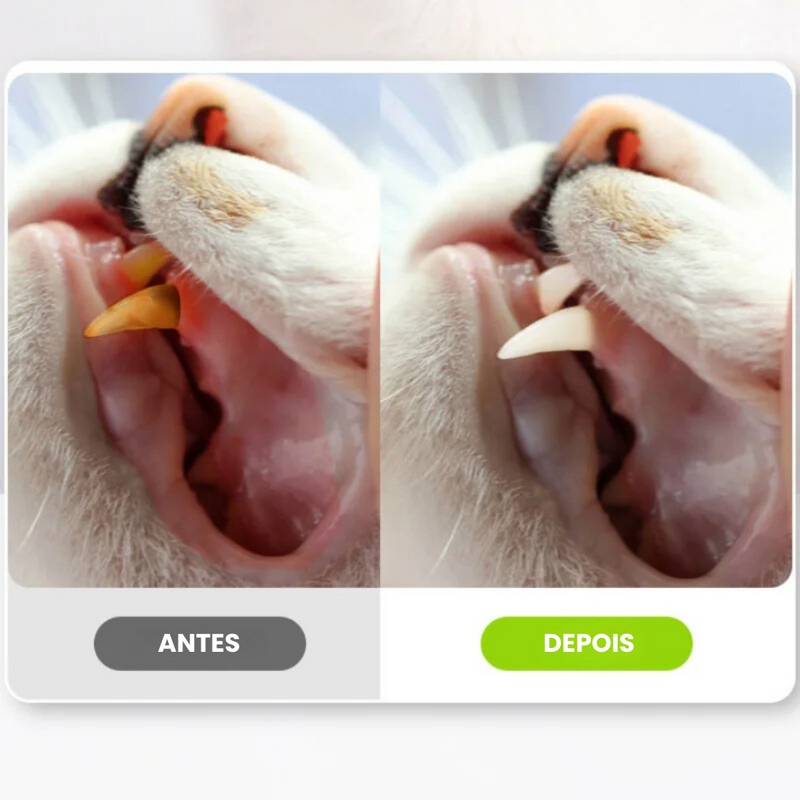 Varinha de Morder para Limpeza Dental de Gatos - Sorriso Saudável e Confortável