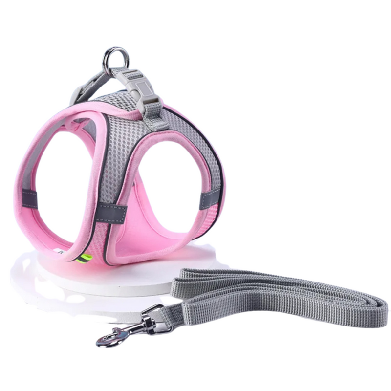 Conforto e Liberdade: Coleira Peitoral com Guia para Gatos