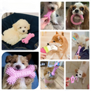 Conjunto de 6 Brinquedos Pelúcia e Mordedores para Momentos de Diversão com Seu Cachorro