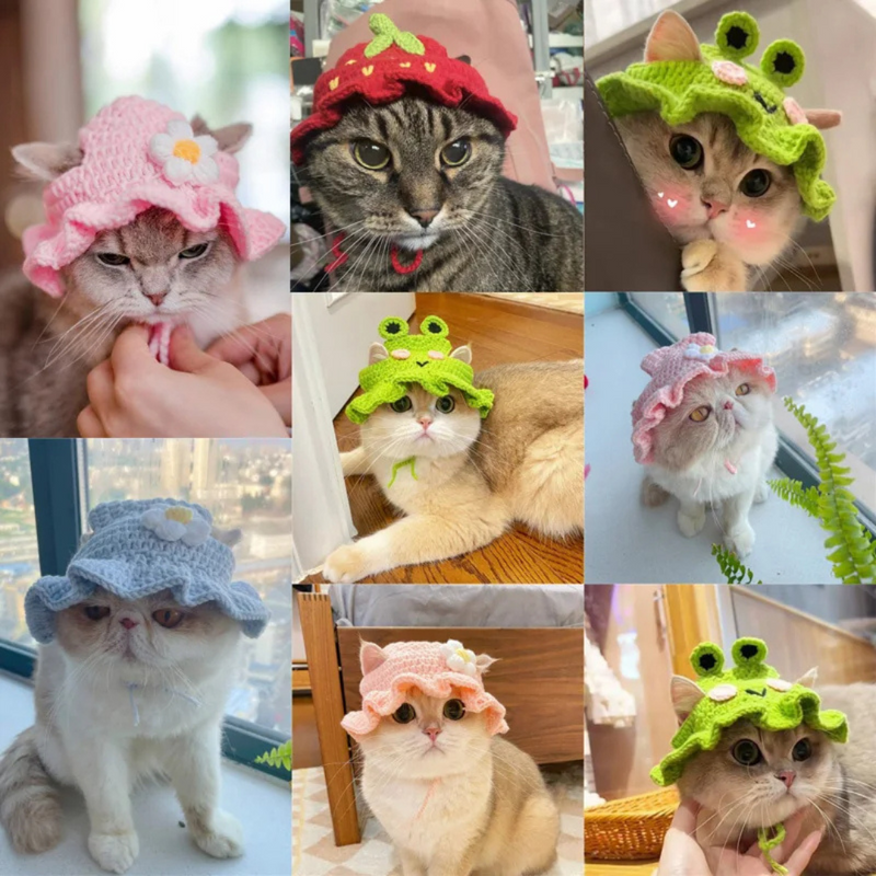 Gorro de Tricô Confortável para Gatos: Estilo e Aconchego