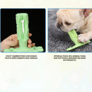 Mordedor de Escova de Dente para Pets - Conforto e Cuidado na Hora de Brincar