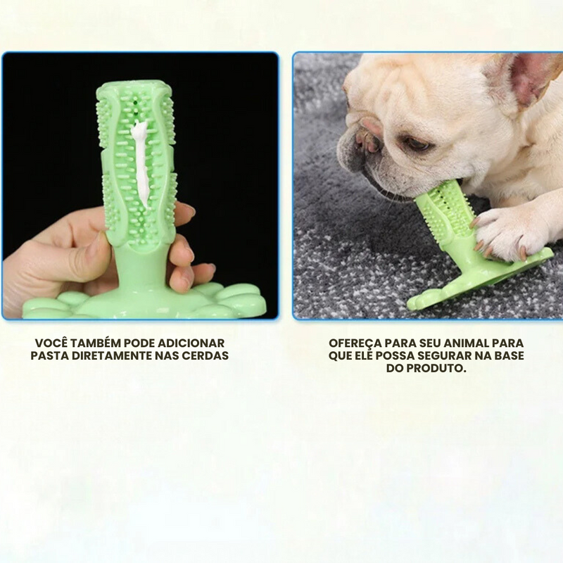Mordedor de Escova de Dente para Pets - Conforto e Cuidado na Hora de Brincar