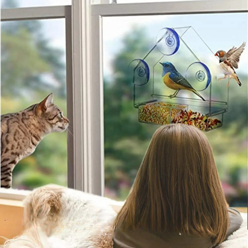 Comedouro Para Pássaros Casinha Atraente Para Beija-Flores no Seu Jardim