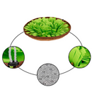 Tapete Interativo para Cachorros: Alimentação Divertida na Horta Fazendinha