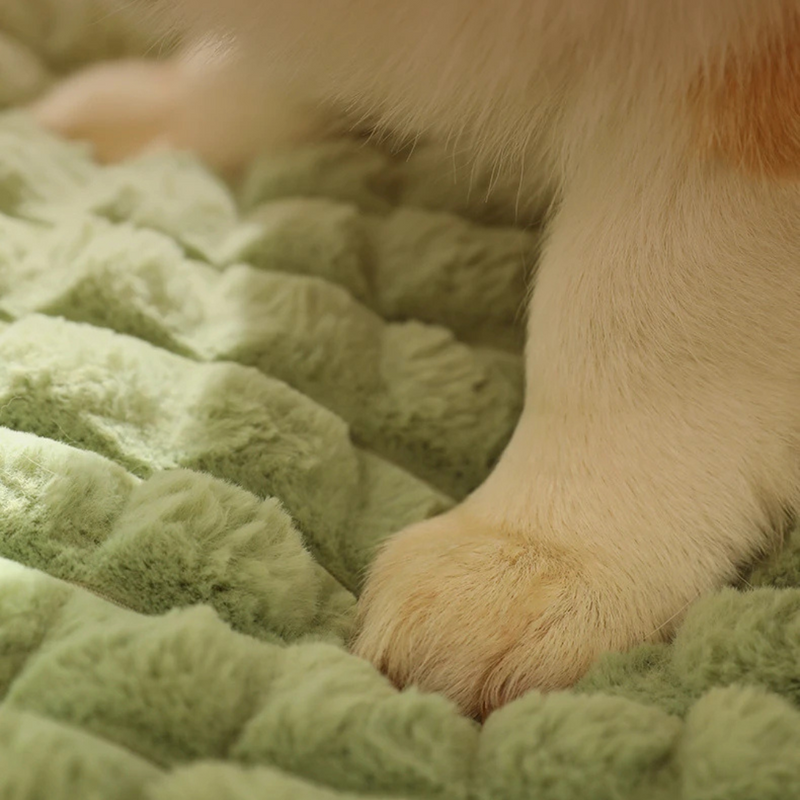 Colchão Macio para Pets com Relevo Confortável para a Cabeça