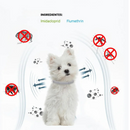 Coleira Repelente Antiparasitário para Proteção Eficaz Contra Pulgas e Carrapatos