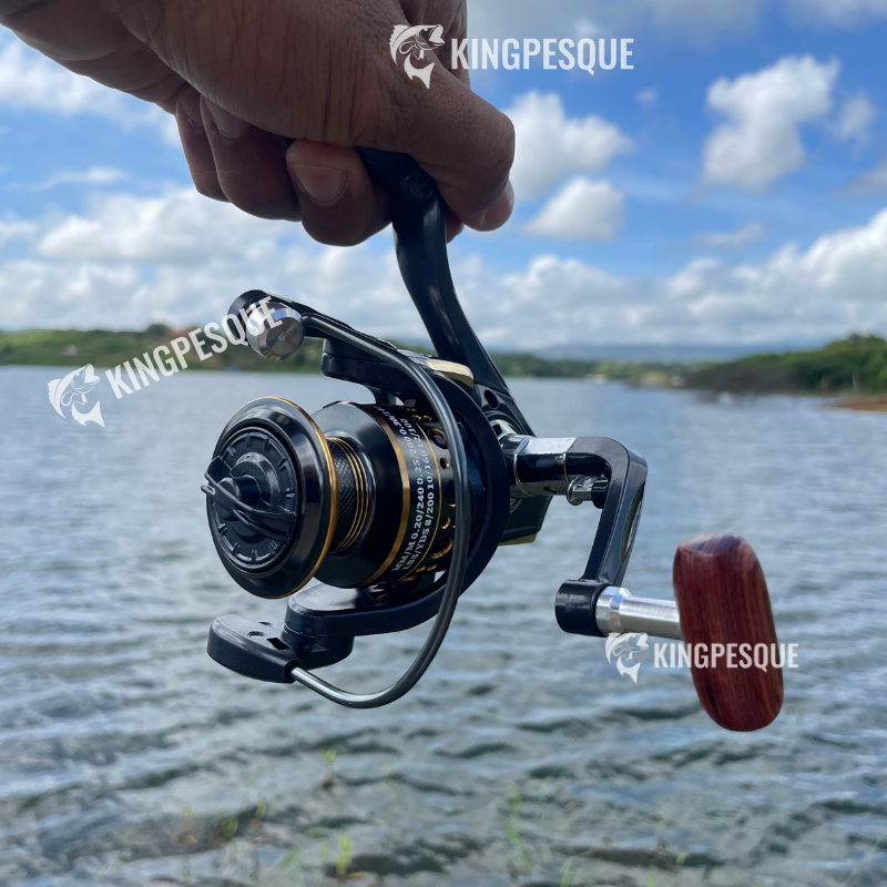 Molinete Shimano: Força de 15kg e 13 Rolamentos em Metal para Aventura sem Limites