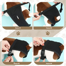 Fralda Higiênica Pet Ajustável com 8 Refil Laváveis para Conforto e Proteção de Cadelas em Cio