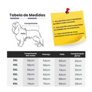 Roupinha Impermeável Dinossauro: Conforto e Proteção em Dias de Chuva