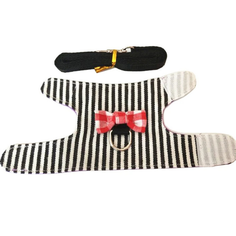 Coleira e Guia Confortável para Hamsters e Porquinhos da Índia