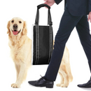 Cinta Elevatória Ajustável para Patas Traseiras: Suporte Confortável para a Reabilitação de Cães Idosos