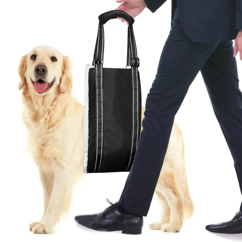 Cinta Elevatória Ajustável para Patas Traseiras: Suporte Confortável para a Reabilitação de Cães Idosos