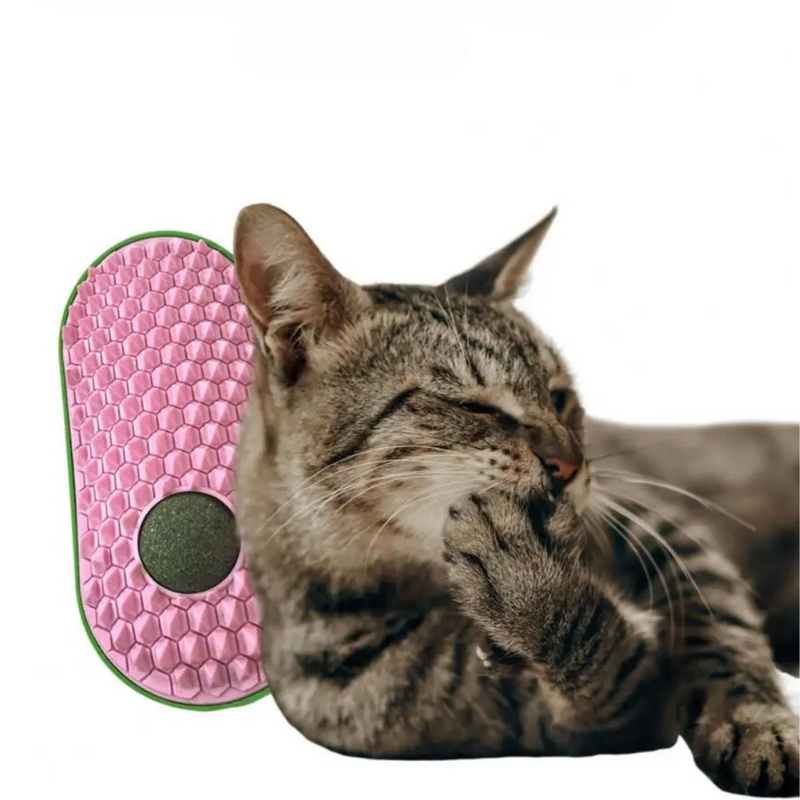Escova Para Gatos com Catnip: Conforto e Diversão para Seu Pet