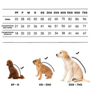 Capa de Chuva Para Cachorro Estilo Dinossauro: Conforto e Proteção em Dias Chuvosos