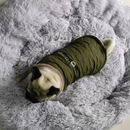 Jaqueta Pet de Inverno Impermeável com Gola Aveludada para Conforto e Estilo