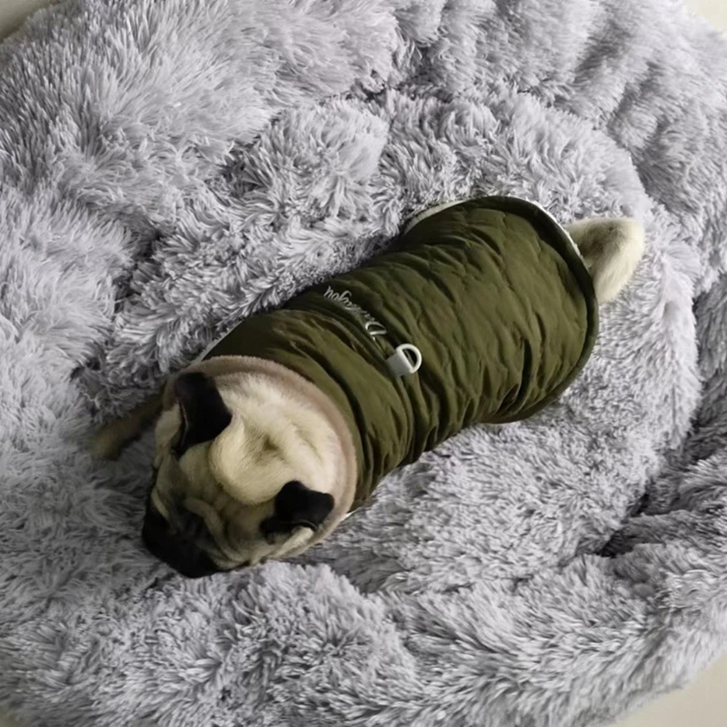 Jaqueta Pet de Inverno Impermeável com Gola Aveludada para Conforto e Estilo