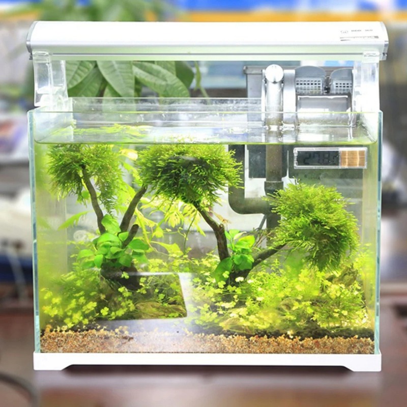 Término Digital para Aquário: Controle Preciso da Temperatura do Seu Peixe