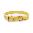 Colar Coleira Ajustável para Gatos com Conforto e Estilo