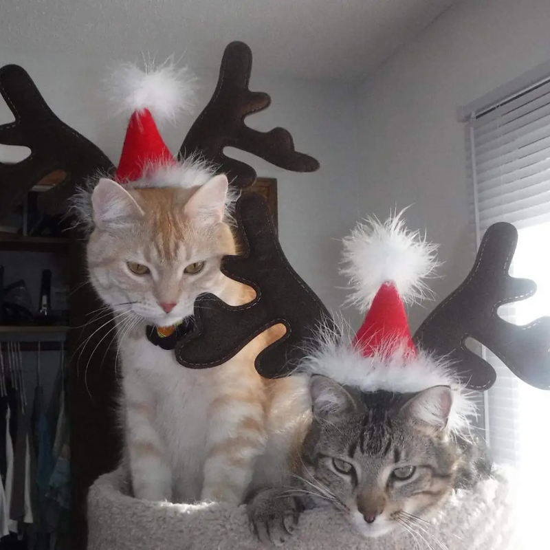 Tiarinha de Rena Natalina para Cachorros: Estilo e Alegria nas Festas