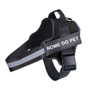 Peitoral Ajustável para Cachorros com Nome Personalizado: Conforto e Estilo para Seu Melhor Amigo
