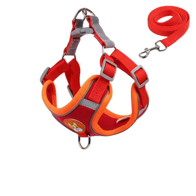 Conjunto Comfort Peitoral e Guia para Cachorros – Conforto e Segurança nas Caminhadas