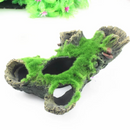 Tronco Natural com Musgos para Criar um Refúgio Aconchegante para Peixes Pequenos