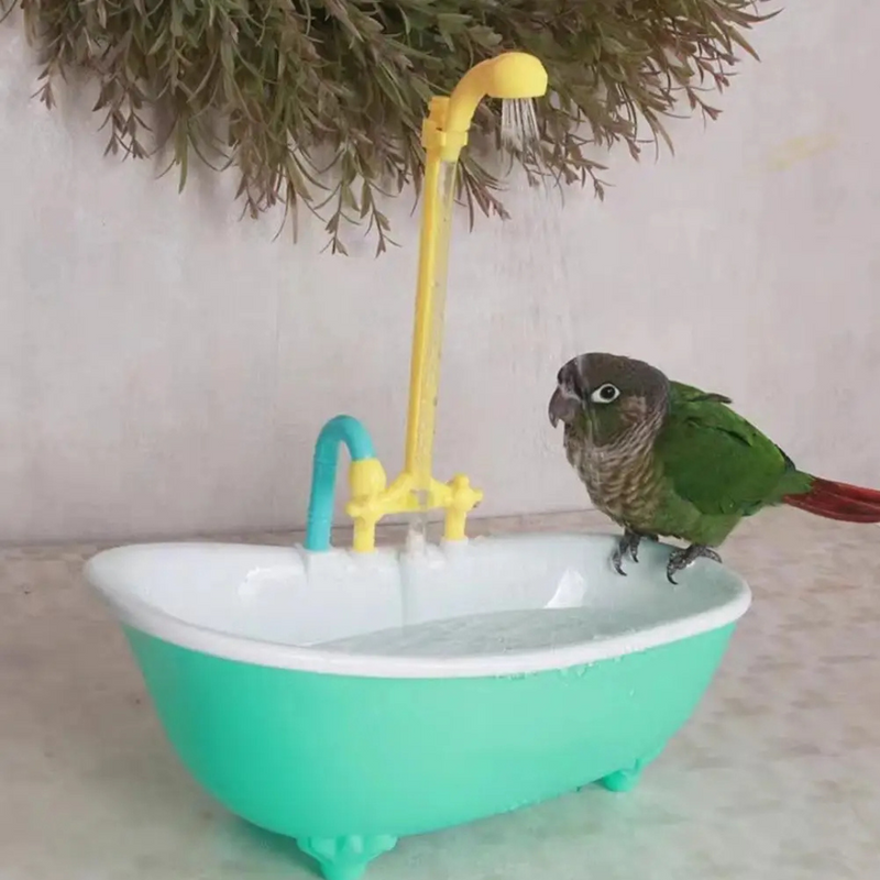 Banho Automático para Aves: Piscina com Fonte para Papagaios, Periquitos e Calopsitas