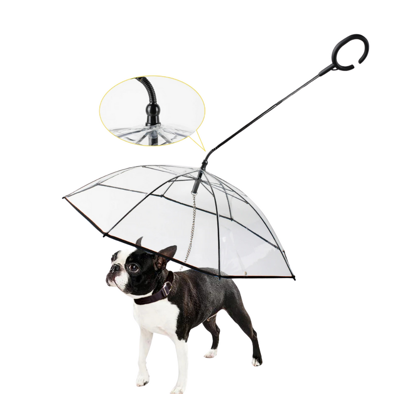 Coleira Translucida Invertida Com Guia Para Seu Pet: Conforto e Proteção em Dias Chuvosos