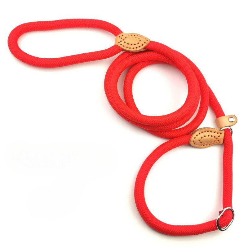 Guia Ajustável para Cachorros: Conforto e Liberdade em Cada Passeio