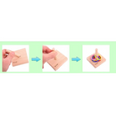 Suporte e Argola para Treinamento de Aves: Conquiste a Liberdade e a Diversão com Seu Papagaio, Calopsita ou Periquito