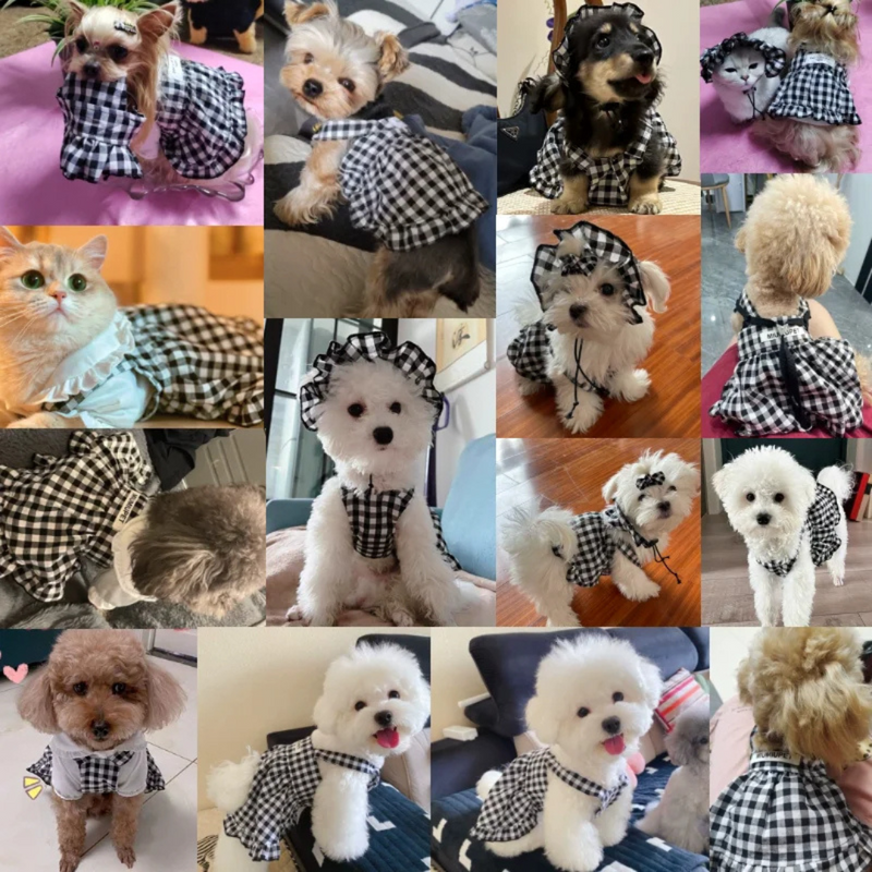 Vestido Xadrez Clássico para Cachorros - Estilo e Conforto na Festa Junina