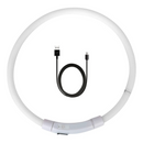 Coleira Led Recarregável: Segurança e Estilo para Seu Cachorro